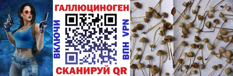 Купить где  Коряжма  Галлюциногенные грибы ЛСД 